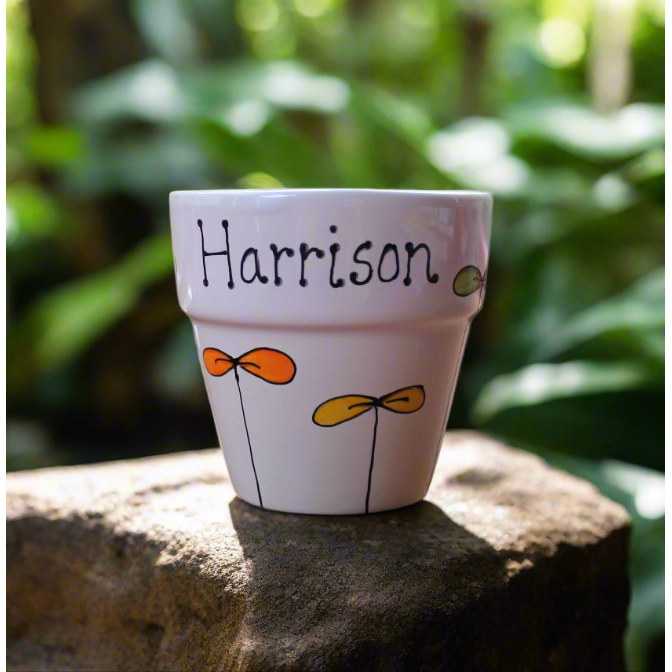 Personalised rainbow seedling plant pot