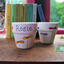 Load image into Gallery viewer, Rainbow seedlings planter personalised planter by Laura Lee Designs 