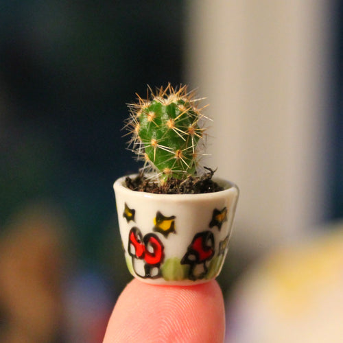 Miniature cactus planter hand painted in magic mushrooms by Laura Lee Designs 